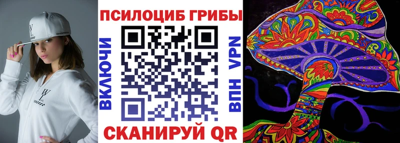 купить наркотики сайты  Кореновск  Псилоцибиновые грибы Psilocybine cubensis 